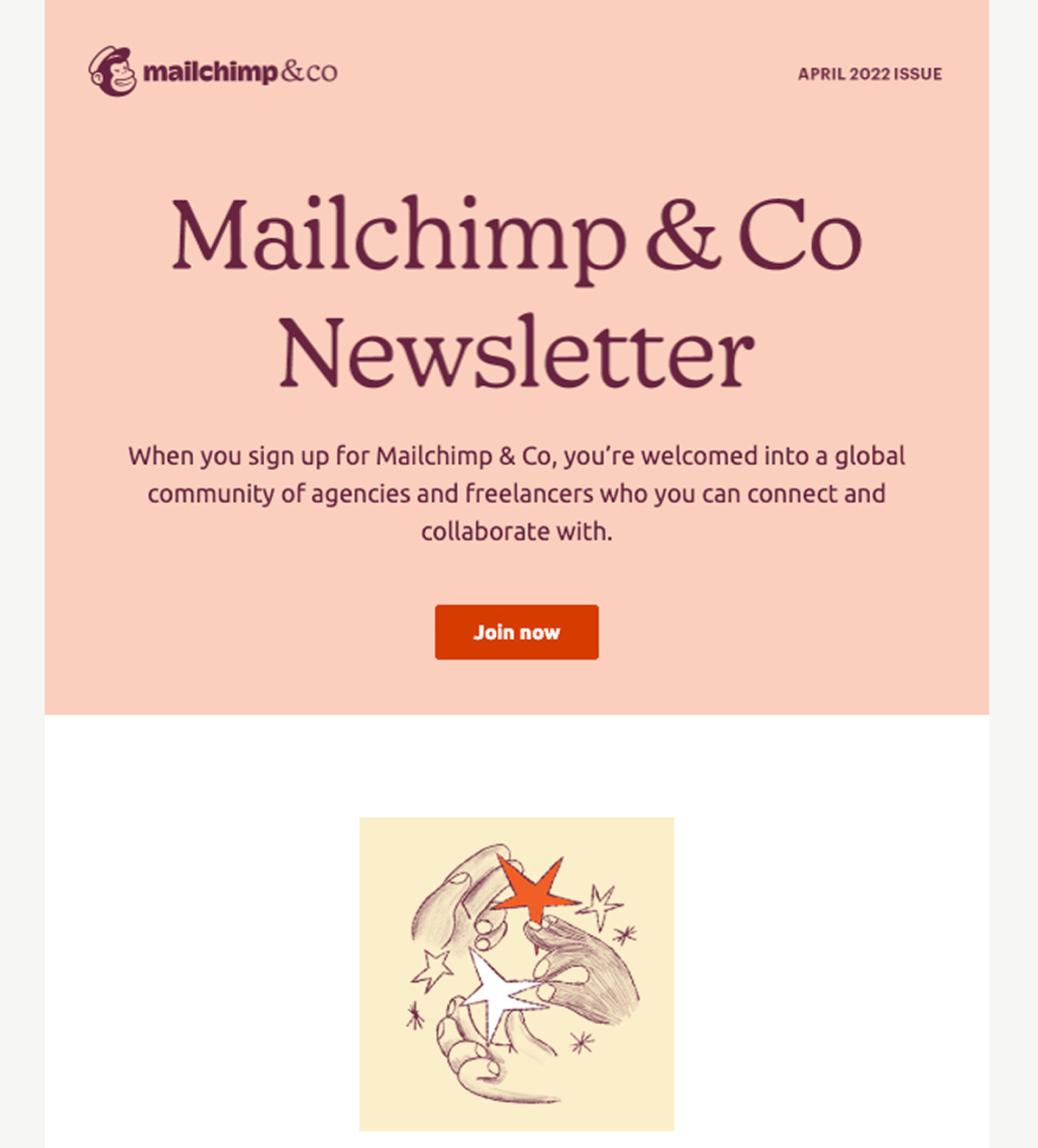 Marketing campaign newsletter email preview